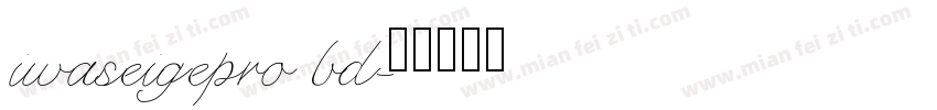 iwaseigepro bd字体转换